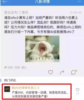 号称"最好骑"的小蓝也倒下了!可见没有优秀的财务有多可怕?